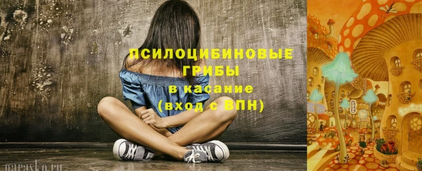 индика Балахна