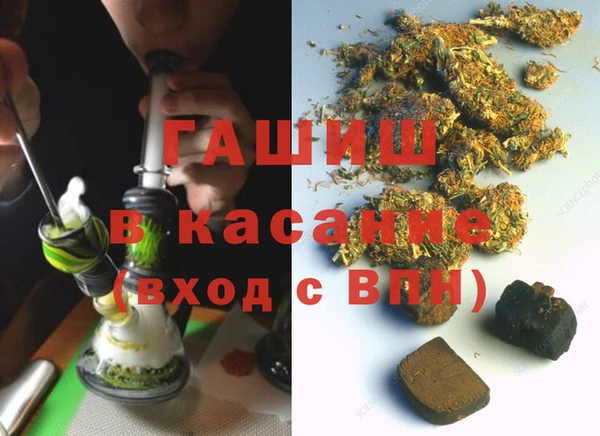 индика Балахна