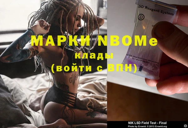 индика Балахна