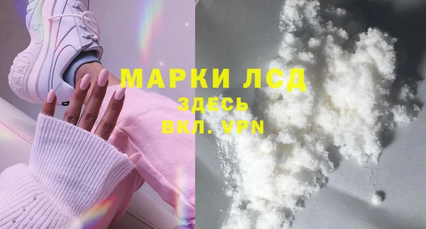 индика Балахна