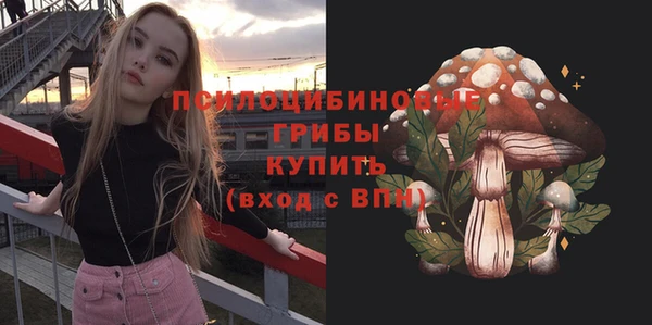 индика Балахна