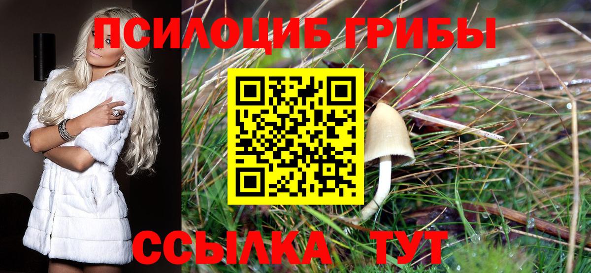 Псилоцибиновые грибы Psilocybine cubensis  Галлюциногенные грибы мухоморы  Вход с VPN  Верхняя Салда 