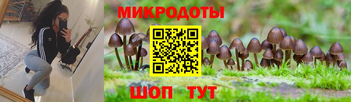 Псилоцибиновые грибы Psilocybine cubensis Верхняя Салда